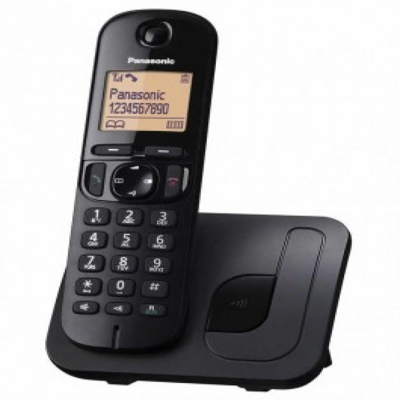 Panasonic Telsiz Telefon TGC210